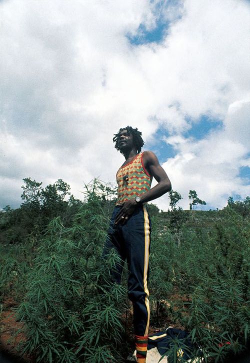 twixnmix:Peter Tosh photographed by Lee Jaffe in St. Ann Parish, Jamaica for his album Legalize It (