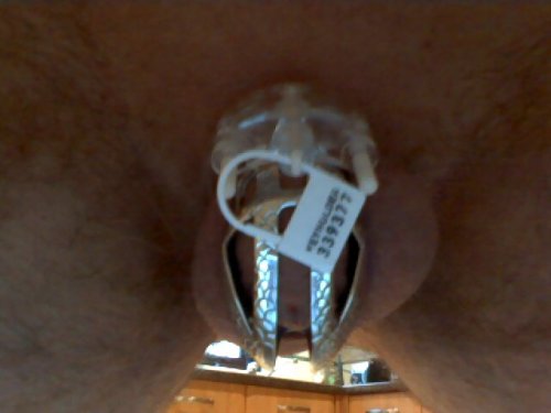 cagedtinyboipenis:  morning 4th Feb 2016 