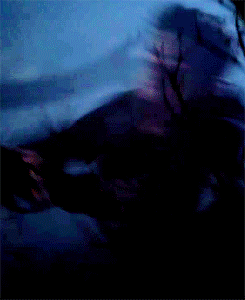 captain-snark:  Beacon Hills needs someone to protect it. These are the chosen ones. 