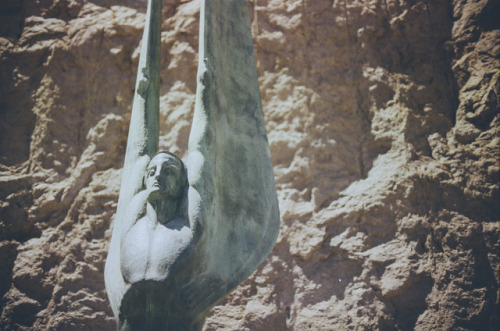 Desert Angel