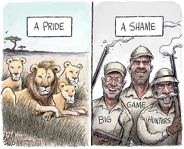 cartoonpolitics:  refers to Cecil the lion, shot by an American dentist who paid