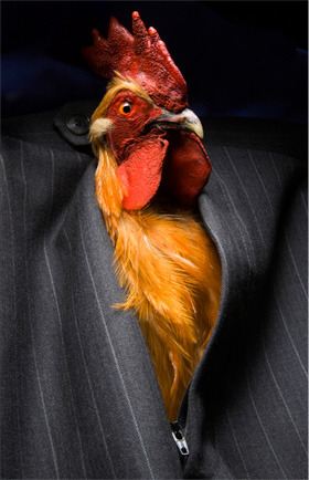 housewifesecrets:  msexplorer:  mofiles:  Lol  LMAO… Nice cock!  Lmao!