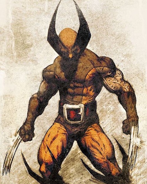 Porn photo nomoremutants-com:  The best Wolverine Costume
