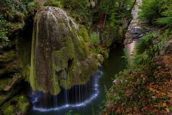 sixpenceee:  Moss covered waterfall located