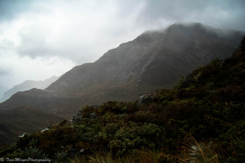 Harris Saddle StudyRouteburn Great Walk, New Zealand