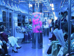 epione:  lava lamp installation on train 