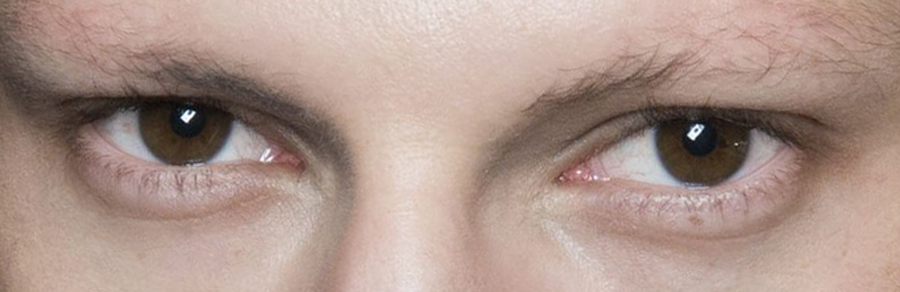 picnicwithsatan:  Valentino AW13