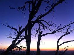 Sunset from Mount Buffalo this weekend. kind