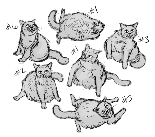 Some sketches of @pitoethecat because she’s a cute little oddball <3— • Instagram, Facebook, Twit