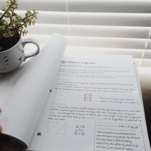 sunfrckles:my geometry notes