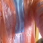 mike792007-blog