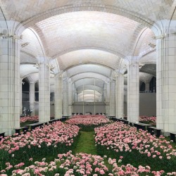 voguedolce:  Set for Tory Burch Fall 2018 with over 14,000 carnations