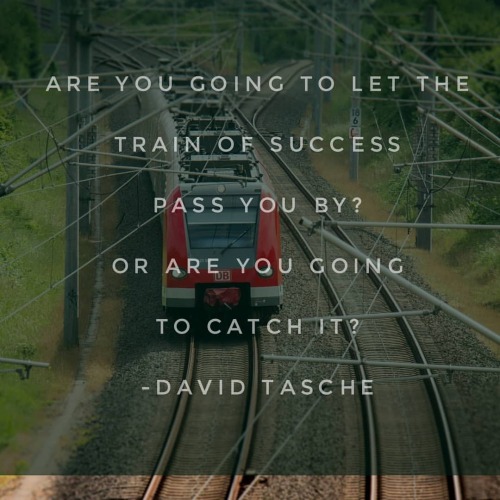 davidtasche