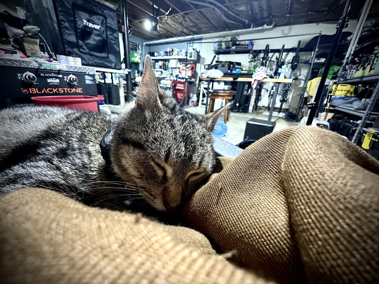 Me and my mascot are taking a break after installing outlets in the ceiling for the future studio. Bay 2 of our garage. Slowly getting there.