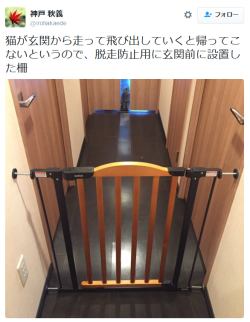 highlandvalley:  神戸 秋義さんはTwitterを使っています: “猫が玄関から走って飛び出していくと帰ってこないというので、脱走防止用に玄関前に設置した柵 https://t.co/vMPqBOdQVO” 