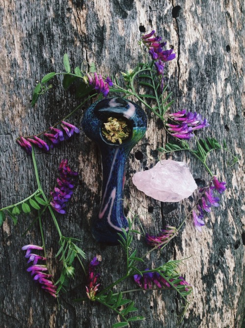 Went on a lovely hike yesterday. We were gifted with some light showers & plentiful sage fields. While pruning those beautiful plants, we encountered a very large snake & moved along quickly.  🌿🌾🐍