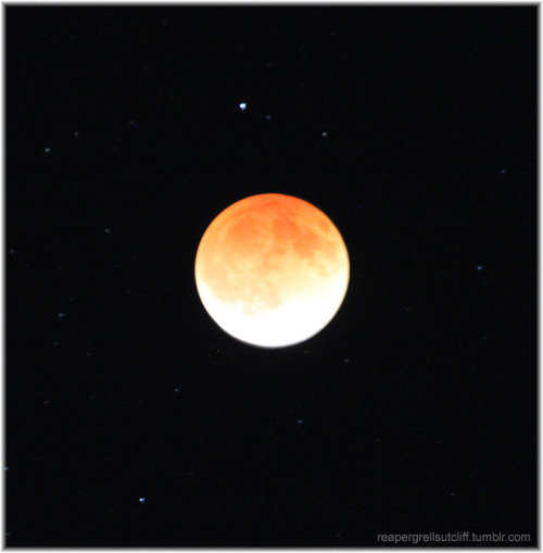 reapergrellsutcliff:  Some photos I took of the lunar eclipse tonight, before I got too cold and had to go back inside.