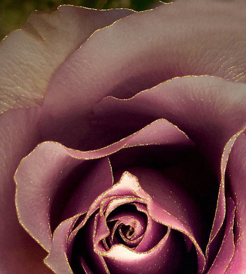 My Heart Is A Pen In Your Hand. It Is All Up To You To Write Me Happy Or Sad. _Rumi