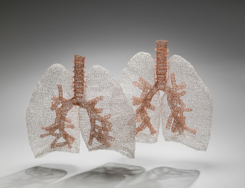tessagratton:itscolossal:Crocheted Wire Anatomy by Anne MondroCHAIN MAIL HEARTSCHAIN. MAIL. HEARTS.
