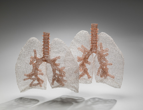 expose-the-light: Crocheted Wire Anatomy by Anne Mondro