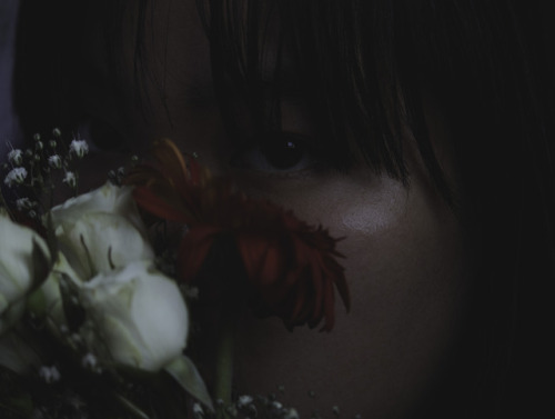 photodiaryobscura: “from my rotting body, flowers shall grow and i am in them and that is eter