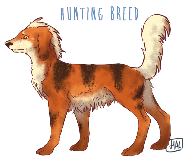 pandroids:  Growlithe VariationsDomestic: The ‘standardised’ breed, a foot tall