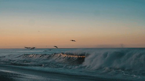 sebastiendevalmont: The sea, once it casts its spell, holds one in its net of wonder forever.  - Jac