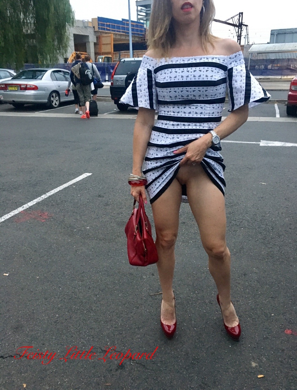 Naughty Pleasures