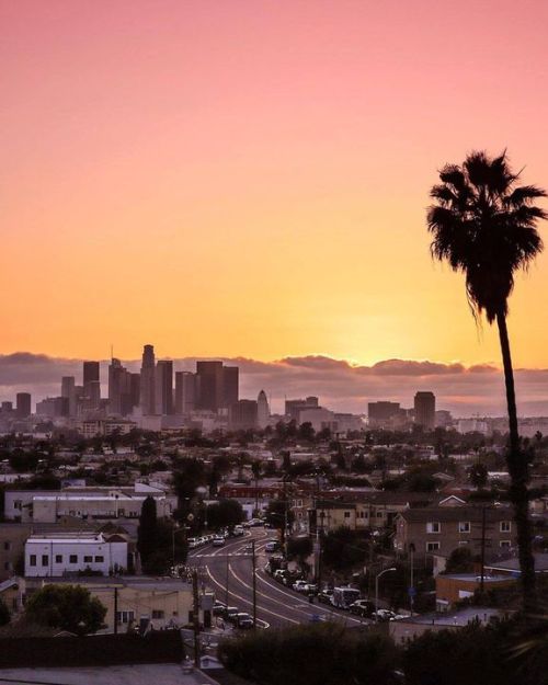 itscaliforniafeelings:  Los Angeles 📷 @3LA