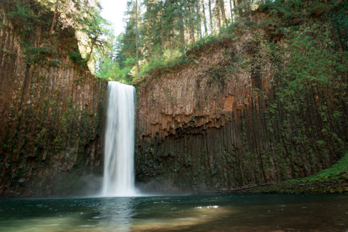 archatlas:    Kassandra Stockton A small sampling of the images from the Pacific Northwest you will find on the tumblr Dreamcatcher all captured by Kassandra Stockton. Enjoy the images that capture that magical combination of lush green forests full