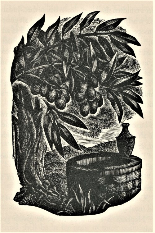 Wood Engraving WednesdayNORA S. UNWINEnglish-American artist Nora S. Unwin (1907-1982) is remembered