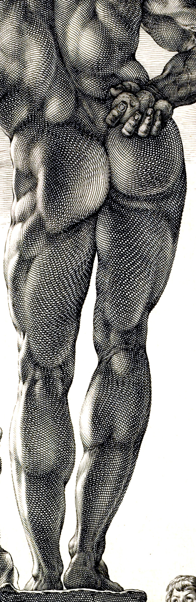 Hendrick Goltzius  Farnese Hercules (detail) c. 1592 41.8 x 30.4 cm  Metropolitan