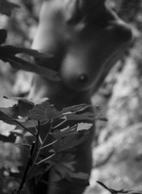 © Fig leaves and nude by Demetrios Drystellas adult photos