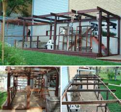 diyncraftz:  DIY Outdoor Cat Enclosure  Follow Us on Tumblr