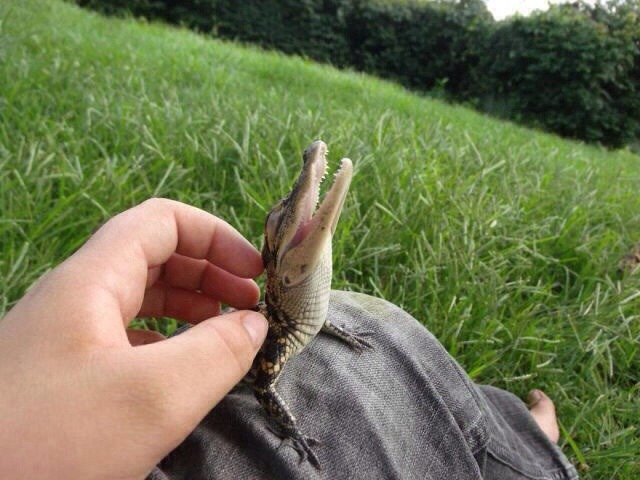 awwww-cute:  Incredibly unconventional aww