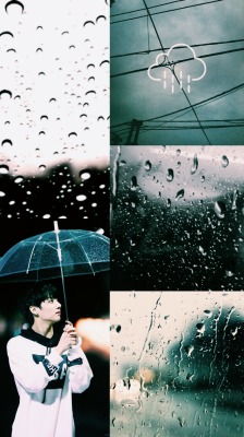 btswalls:  ðŸŒ¾; || BTS Jeon Jungkook