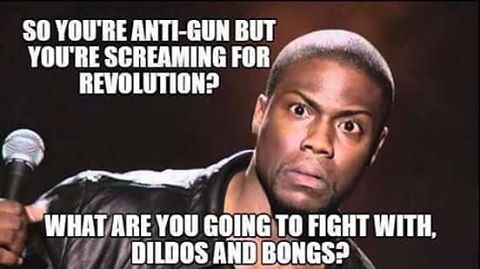 theigmilitia:  Makes me laugh every time. #ArmYourselfHypocrites  #igmilitia #gun