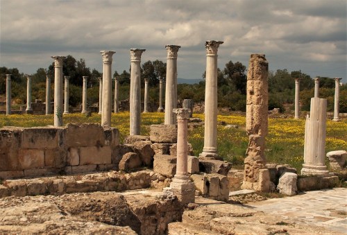 lychens: Columns &amp; mosaic floor of the gymnasium at Salamis, Northern Cyprus.