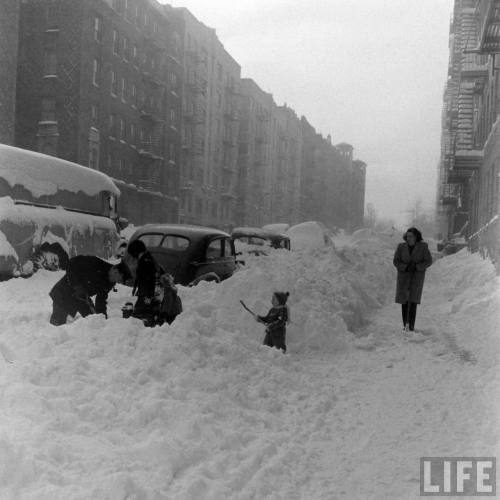 Shoveling out after an ice and snow storm(Fritz Goro. 1948)