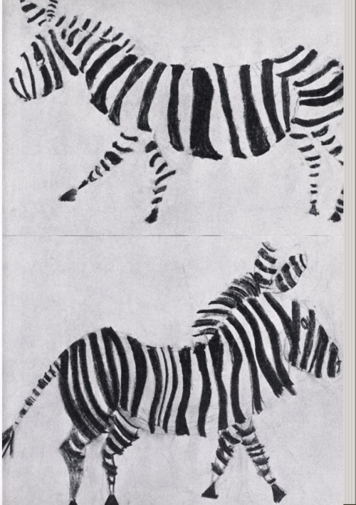 Unknown (Fourth grader), Zebra