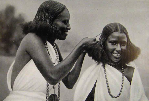 kemetic-dreams:On slave ships to the Americas, enslaved West Africans braided rice seeds in their hair & forever altered the New World economy with their knowledge of the rice cropDuring the African slave trade, enslaved peoples found ways to retain