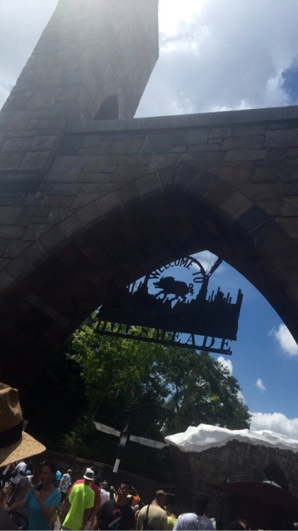 erikalynn424:  My happy place , my home ! Hogwarts ! 😍♥️🏰⚡️🚂🍺