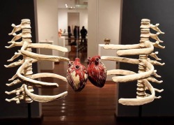 willsthighsweat:“Anatomy of a Hug" adult photos