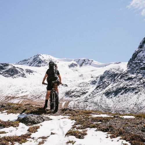 thebicycletree: Second day of our Iron Pass Sunday stroll is up on Yonder Journal. Fat tires, bear 