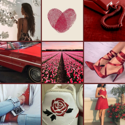 Leila: dark beauty, red rose aesthetic for the dazzling @leilaroe