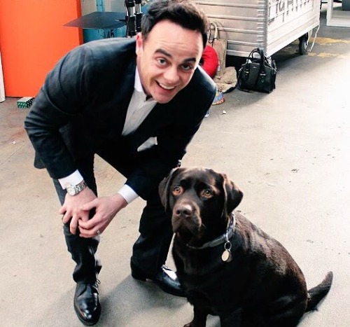 decsbabe: Ant and Dec back stage with Rocky and Hurley