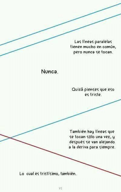 sparragow:  Ahora veo la geometría de manera diferente :(