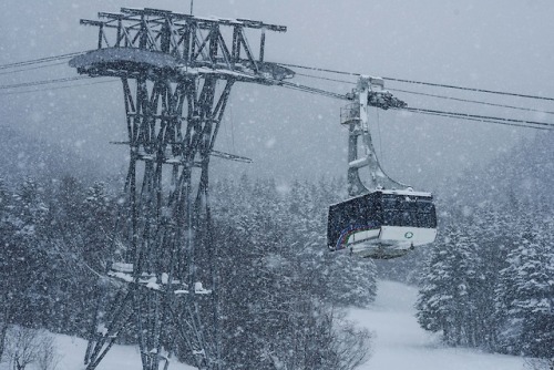 Furano, Japanuary. 