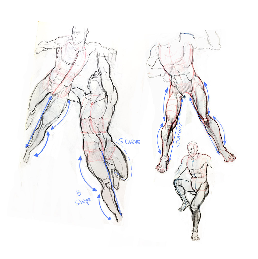 Good Anatomy Books For Artists Reddit In An Attempt To