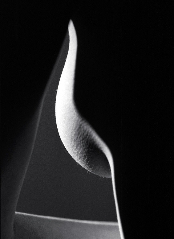 silentorgasm:  Stolen glances such as this thrill me.  Especially when you can make